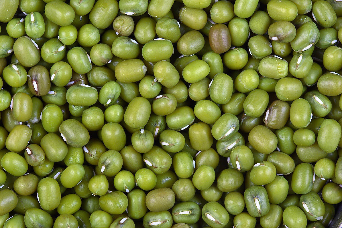 Mung Beans Export Quality Myanmar