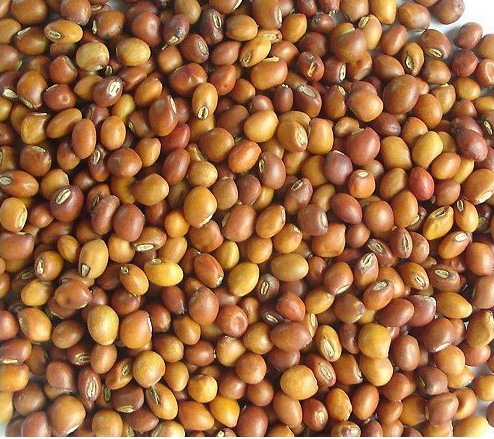 Tool Whool Bean export product by Tun Myat Thu